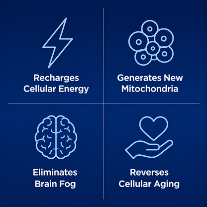 Neuropoise Methylene Blue Gummies