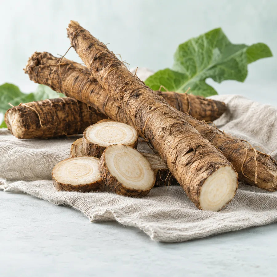 Burdock Root