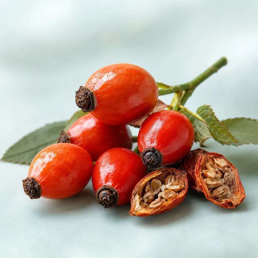 Rose Hip
