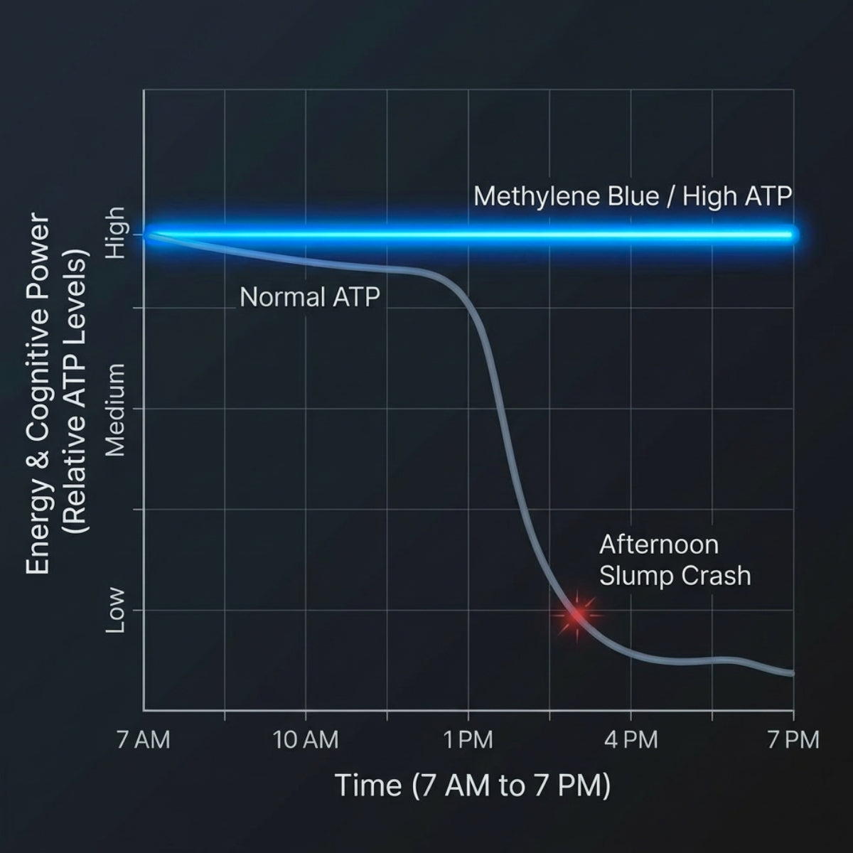 Chart showing steady high energy and ATP levels with methylene blue, versus normal levels crashing into an afternoon slump.